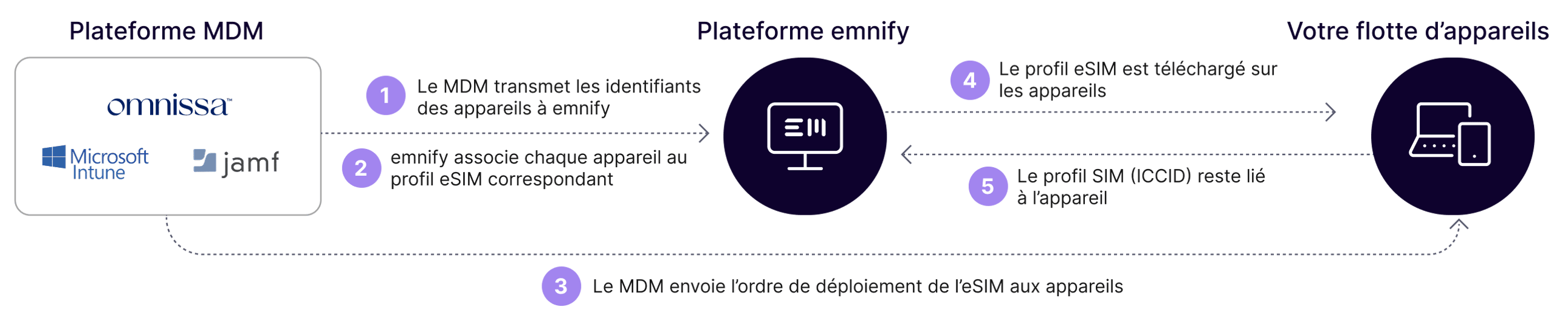 450_Image-Consumer-eSim-FR_Infografik