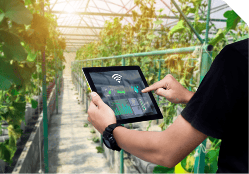 Cellular IoT for smart agriculture