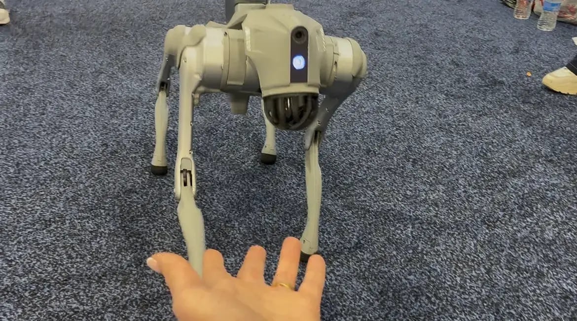 emnify petting a robot