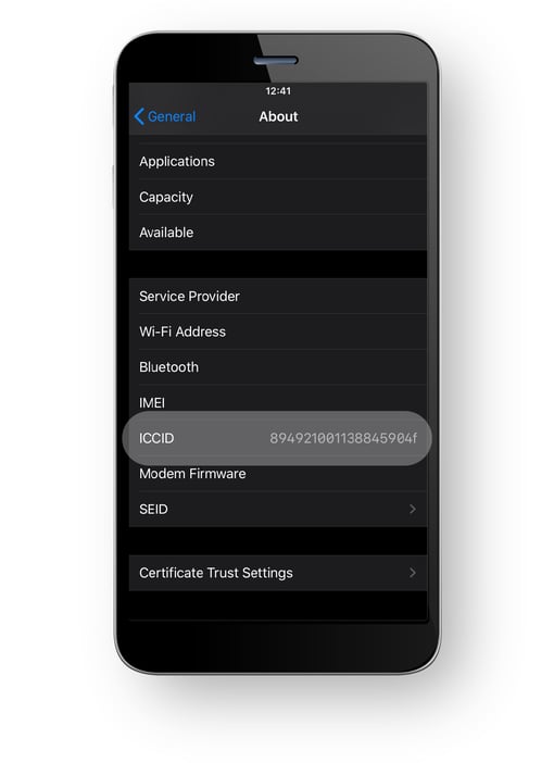 iccid number iphone not showing