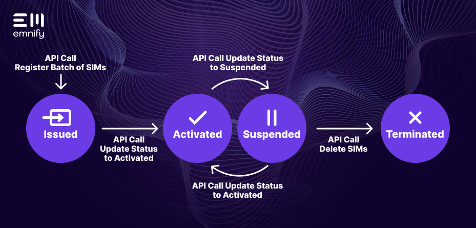 sim lifecycle management