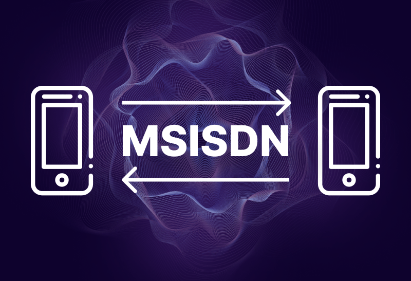 Feature image for What+Is+an+MSISDN%3F