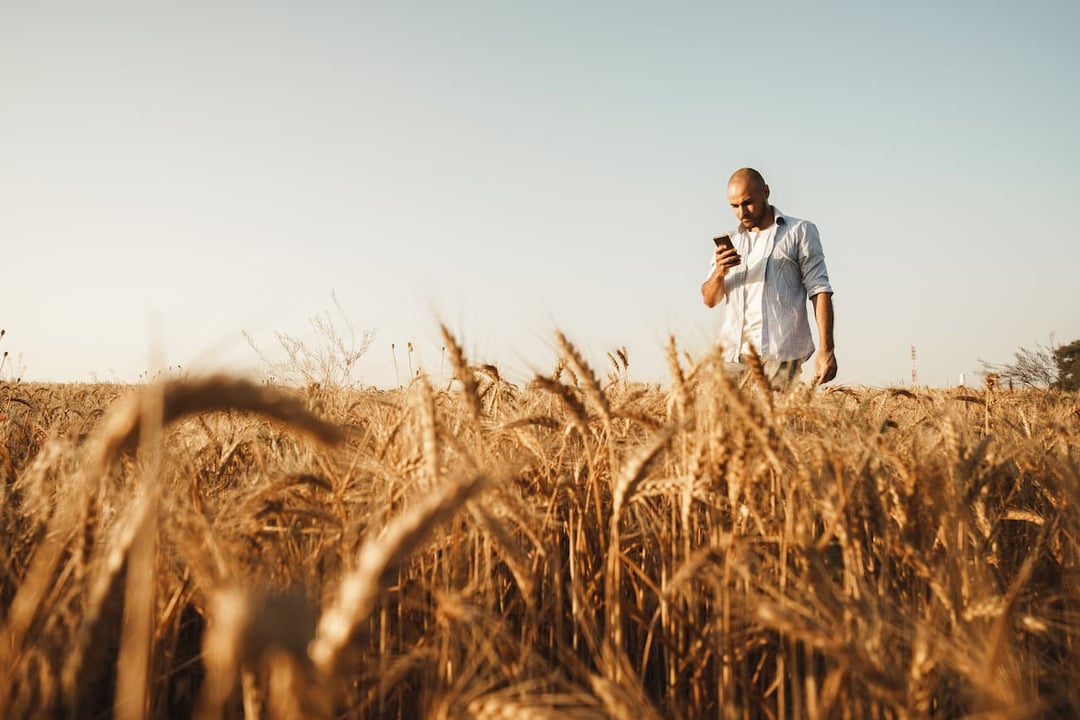 man-checking-phone-in-farm