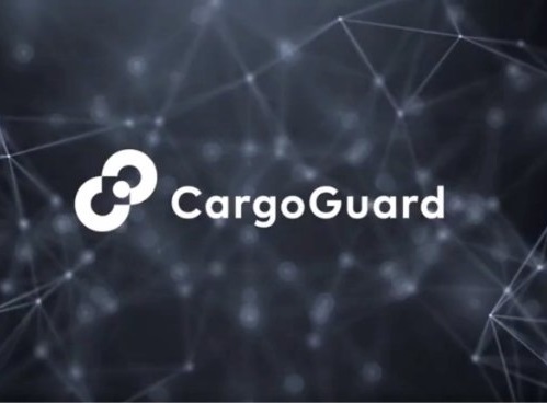 cargo-video-img@2x-1